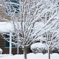 Lake Ontario Hall in snow